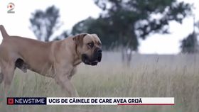 Virgil a avut parte de o moarte cumplită. Bărbatul a fost ucis de câinele de luptă pe care îl îngrijea